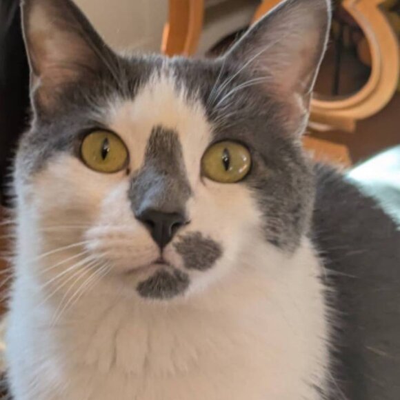 Howdy friend! You can call me Ash - Picture 3 of 7